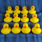 12 Yellow Rubber Ducks