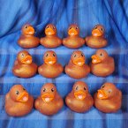 12 Glitter Copper Rubber Ducks